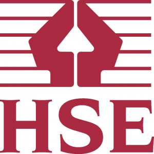 Logo for the company HSE